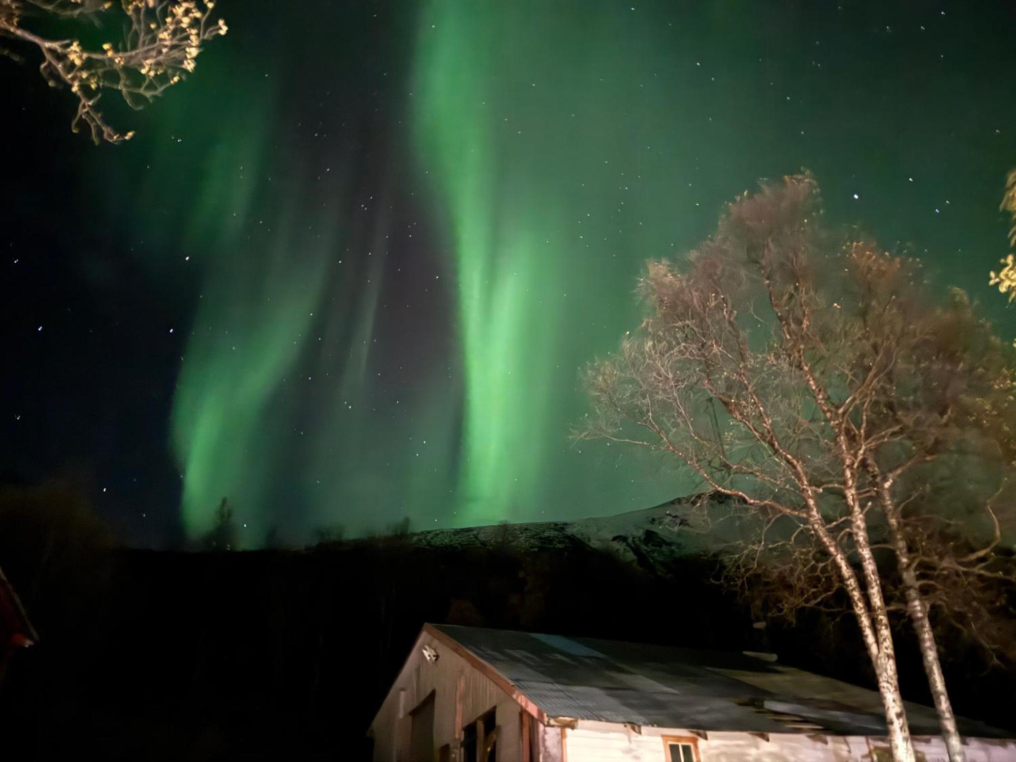 Beautiful In Nature Apartment Oldervik